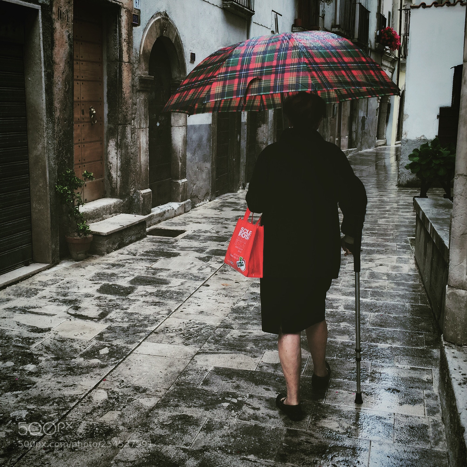 Apple iPhone 6 sample photo. Untitled photography