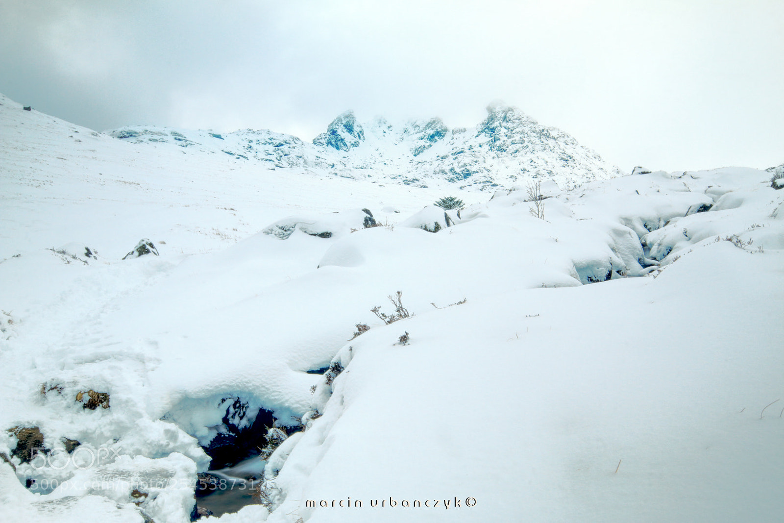 Canon EOS 70D sample photo. The cobbler photography