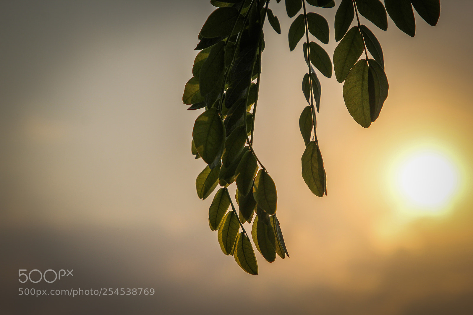 Canon EOS 60D sample photo. Enjoy sunset photography