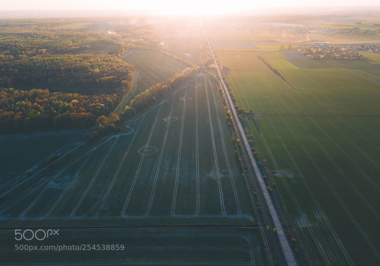 DJI FC220 sample photo. Spring! photography