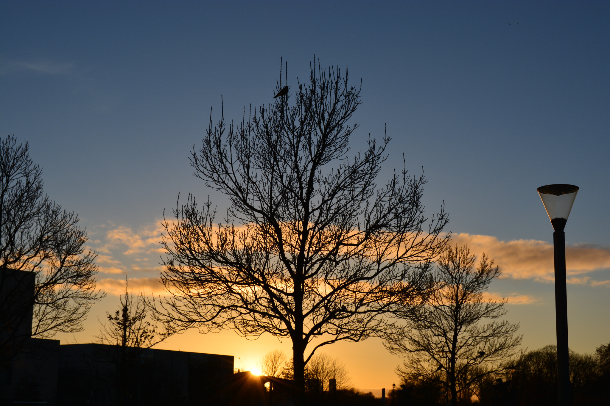 Nikon D5200 sample photo. Dsc photography