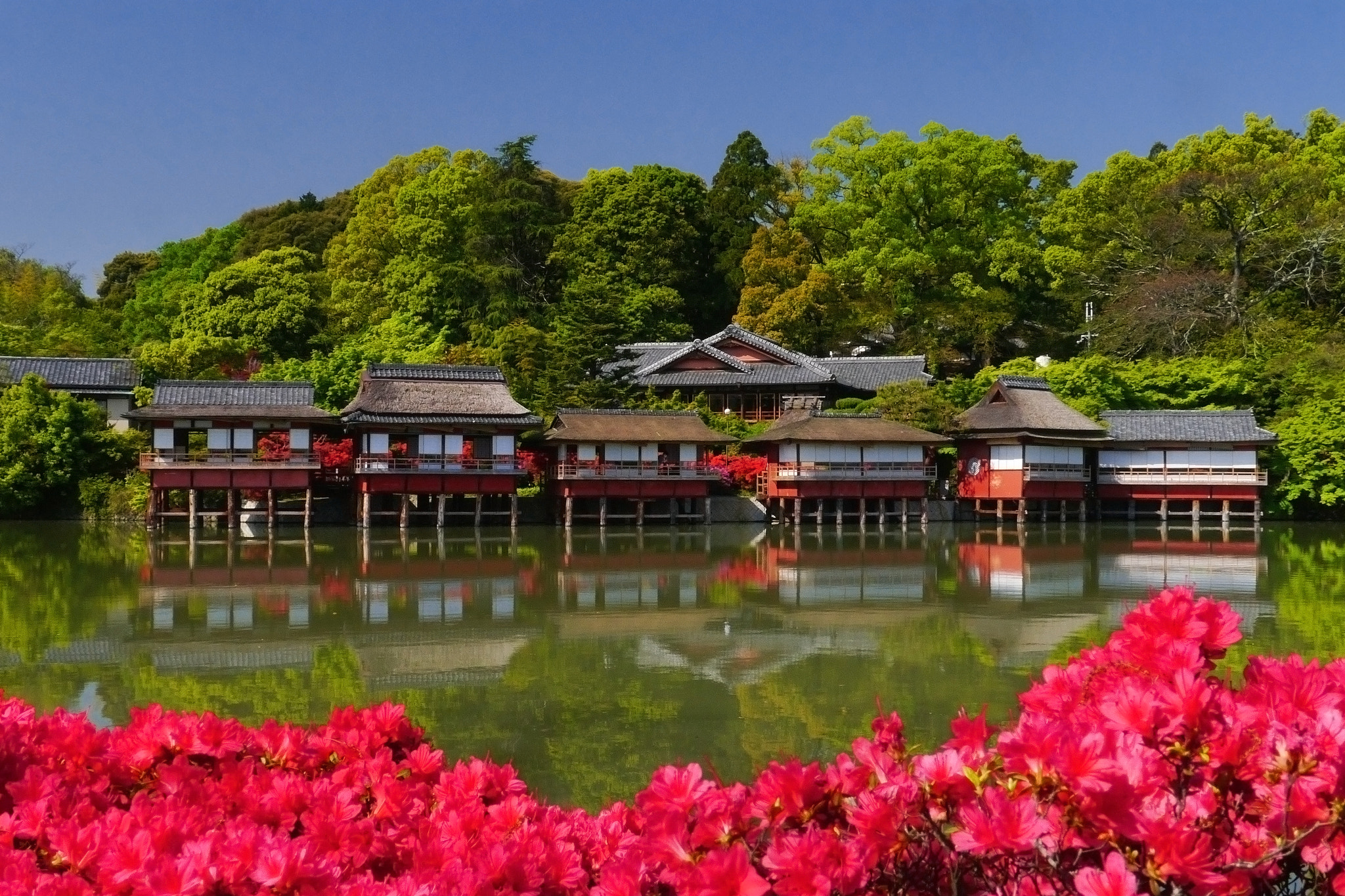 Panasonic Lumix DMC-GX1 sample photo. Spring in kyoto photography