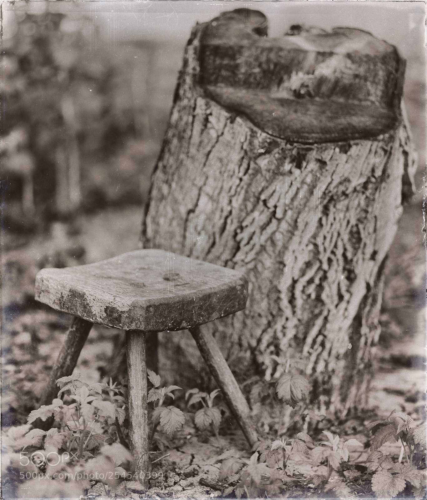 Sony a7 II sample photo. From the past photography