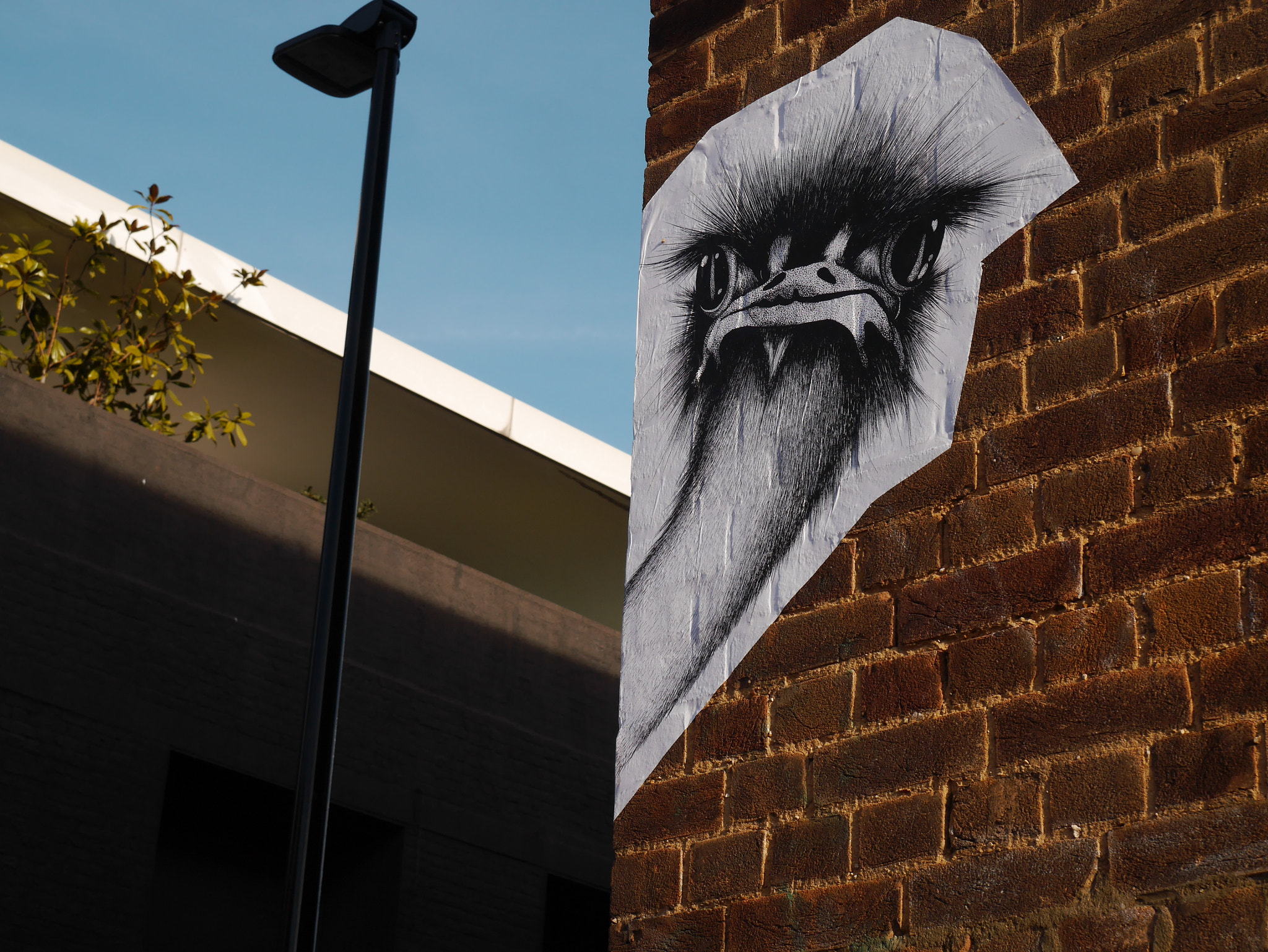 Panasonic Lumix DMC-GF6 sample photo. An ostrich in bricklane photography