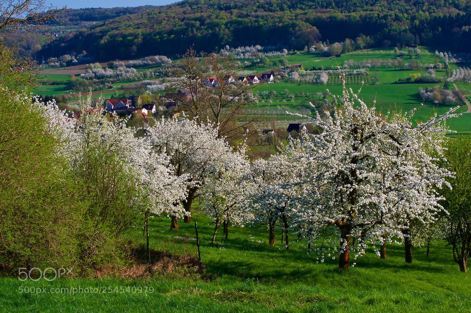 Pentax K-3 II sample photo. Trubach valley photography