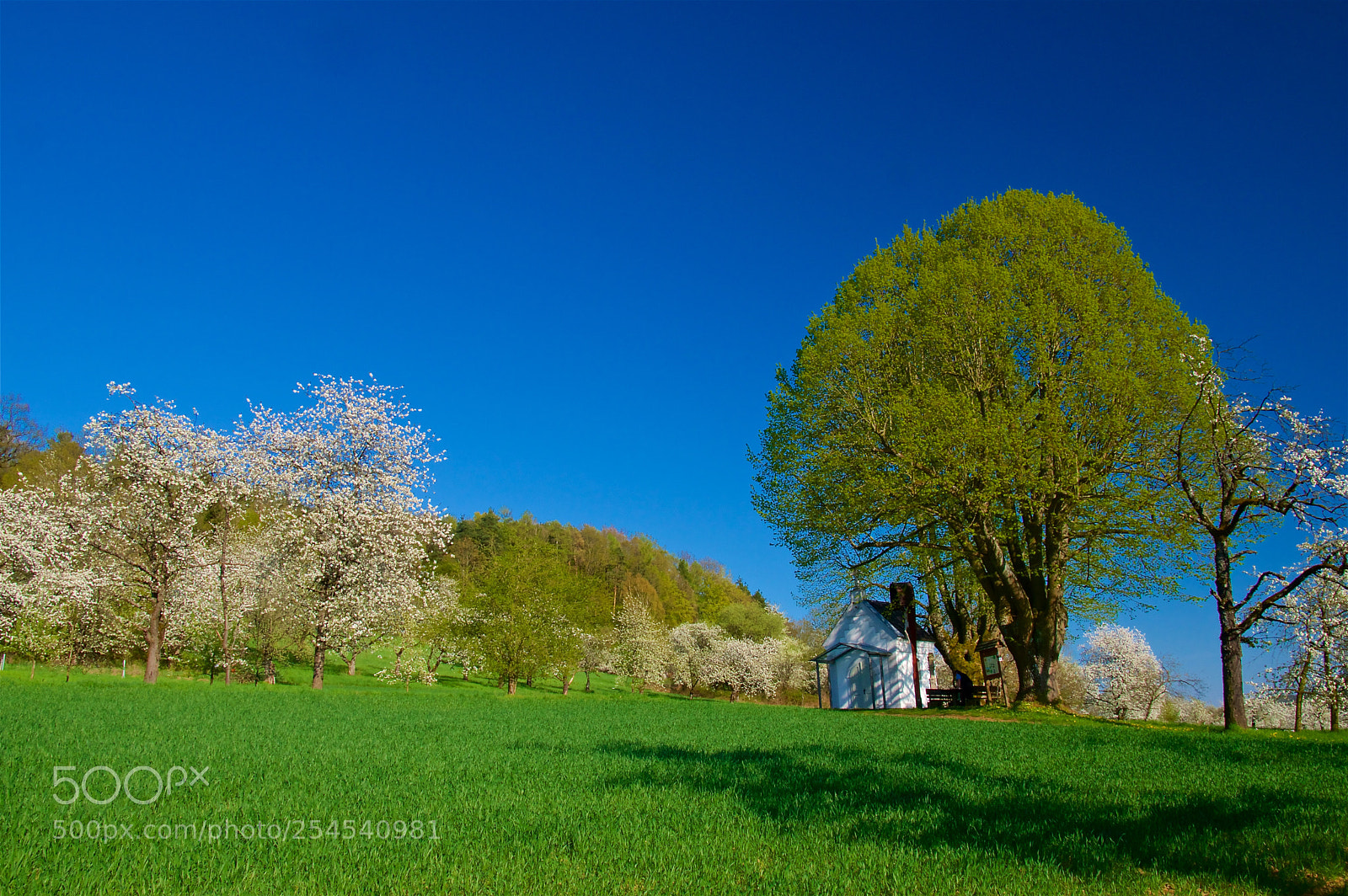 Pentax K-3 II sample photo. A place to enjoy photography