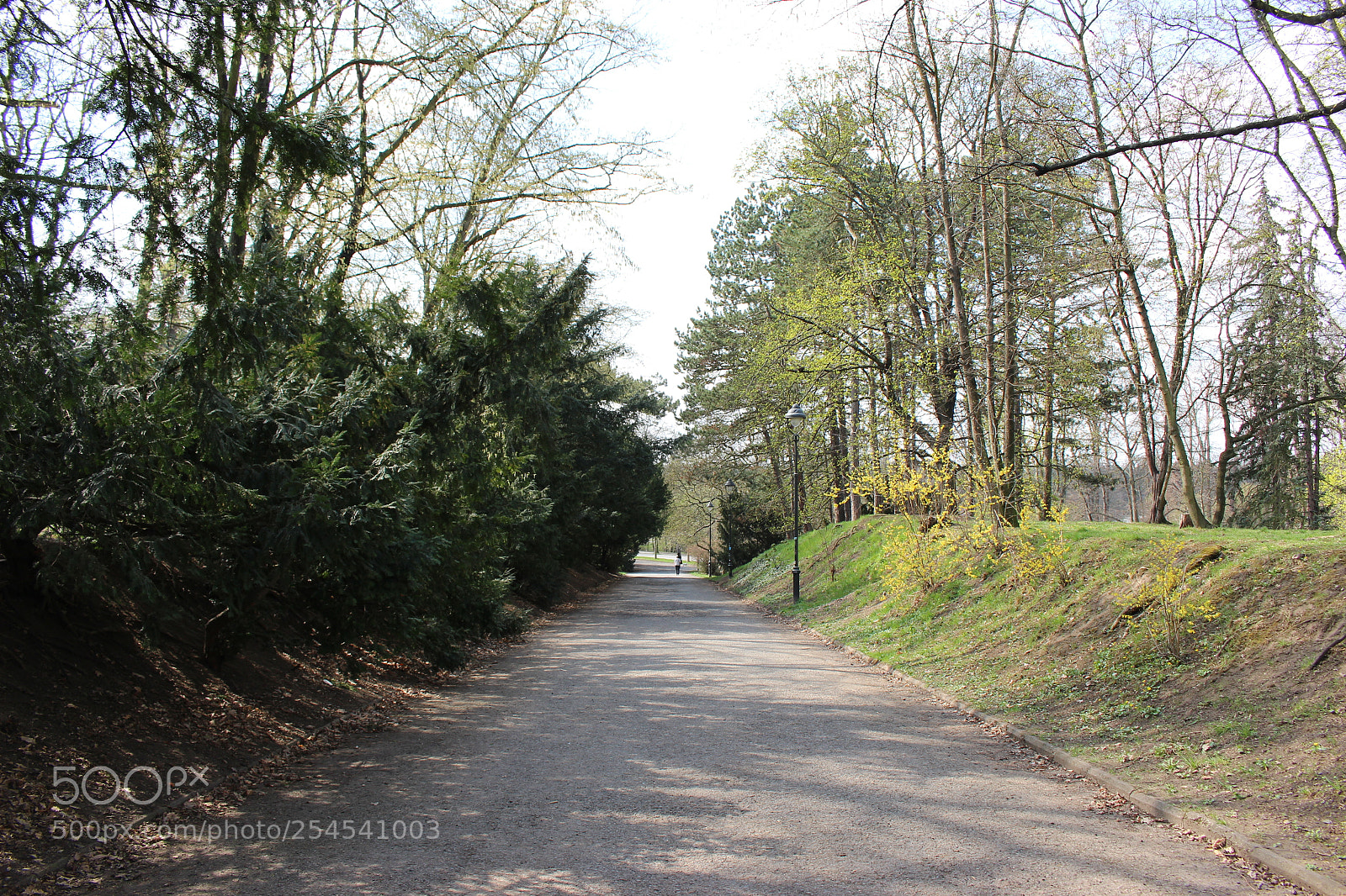Canon EOS 100D (EOS Rebel SL1 / EOS Kiss X7) sample photo. Img photography