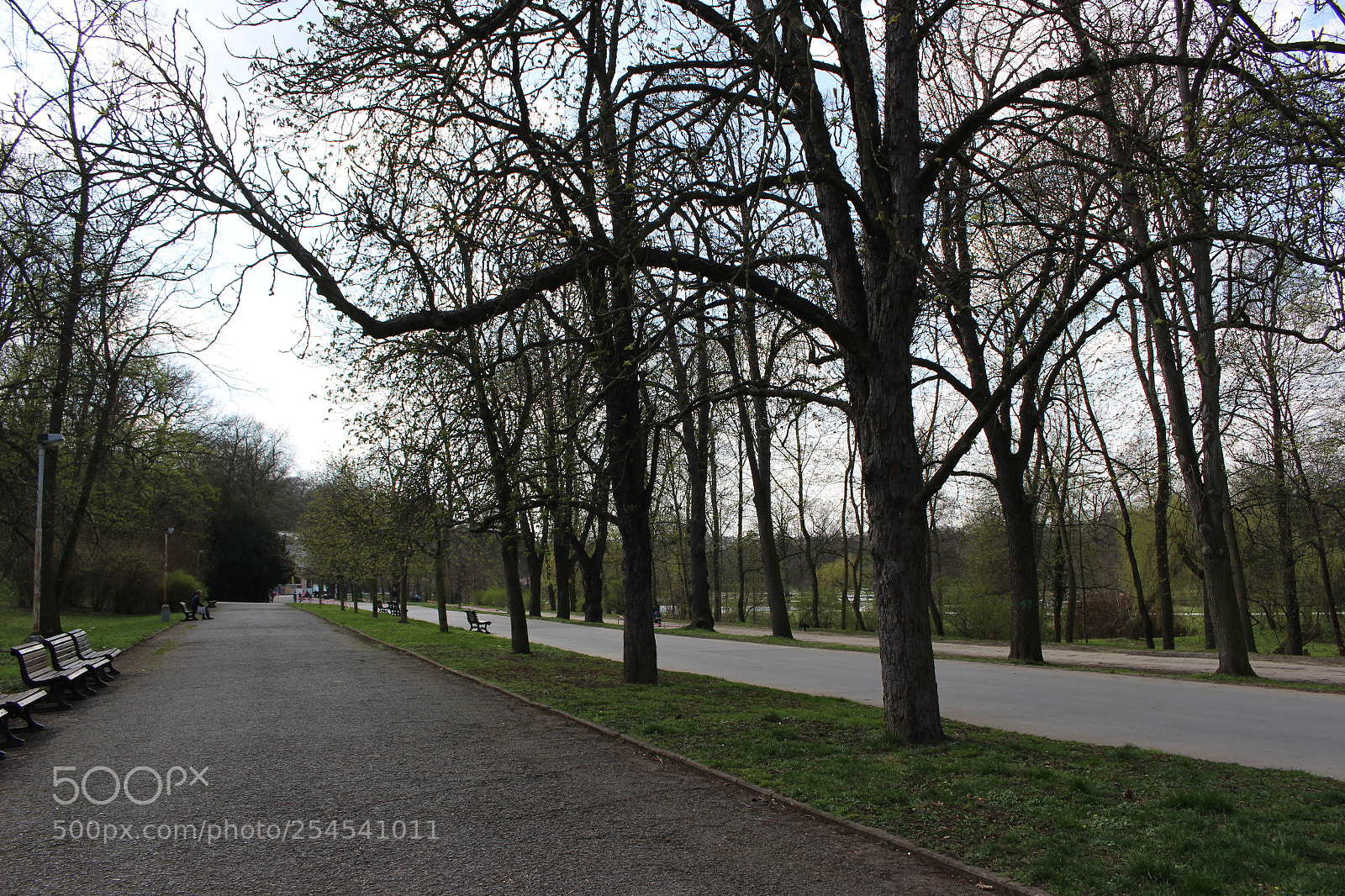 Canon EOS 100D (EOS Rebel SL1 / EOS Kiss X7) sample photo. Img photography
