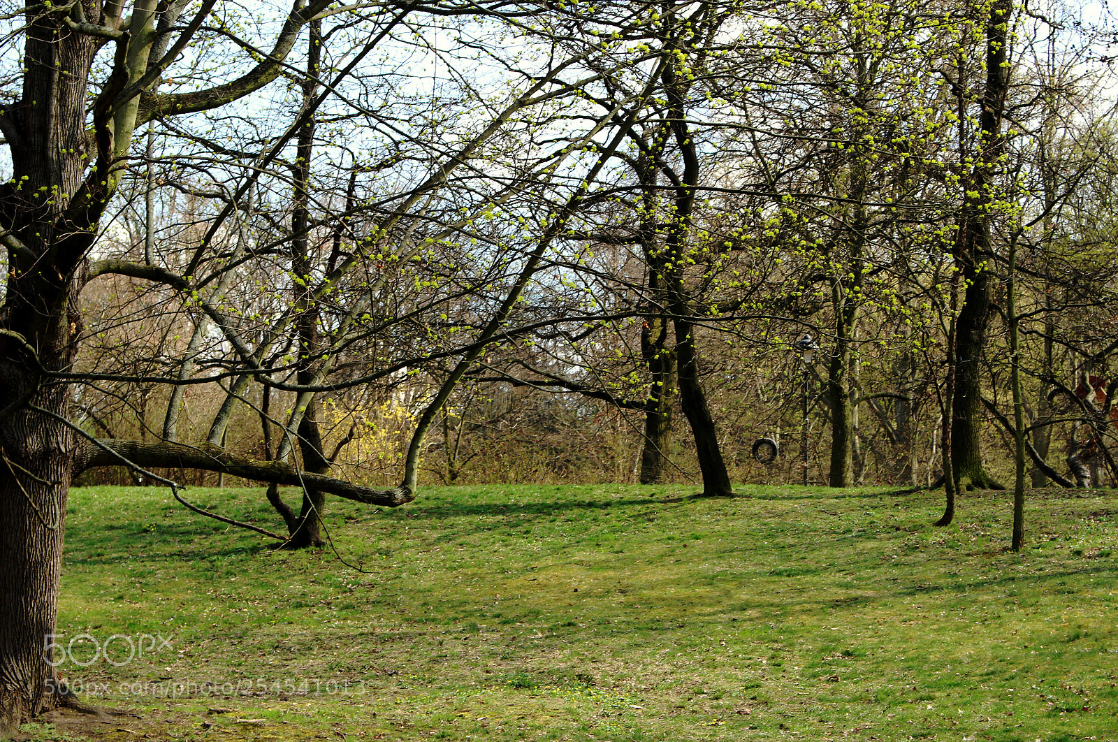 Canon EOS 100D (EOS Rebel SL1 / EOS Kiss X7) sample photo. () photography