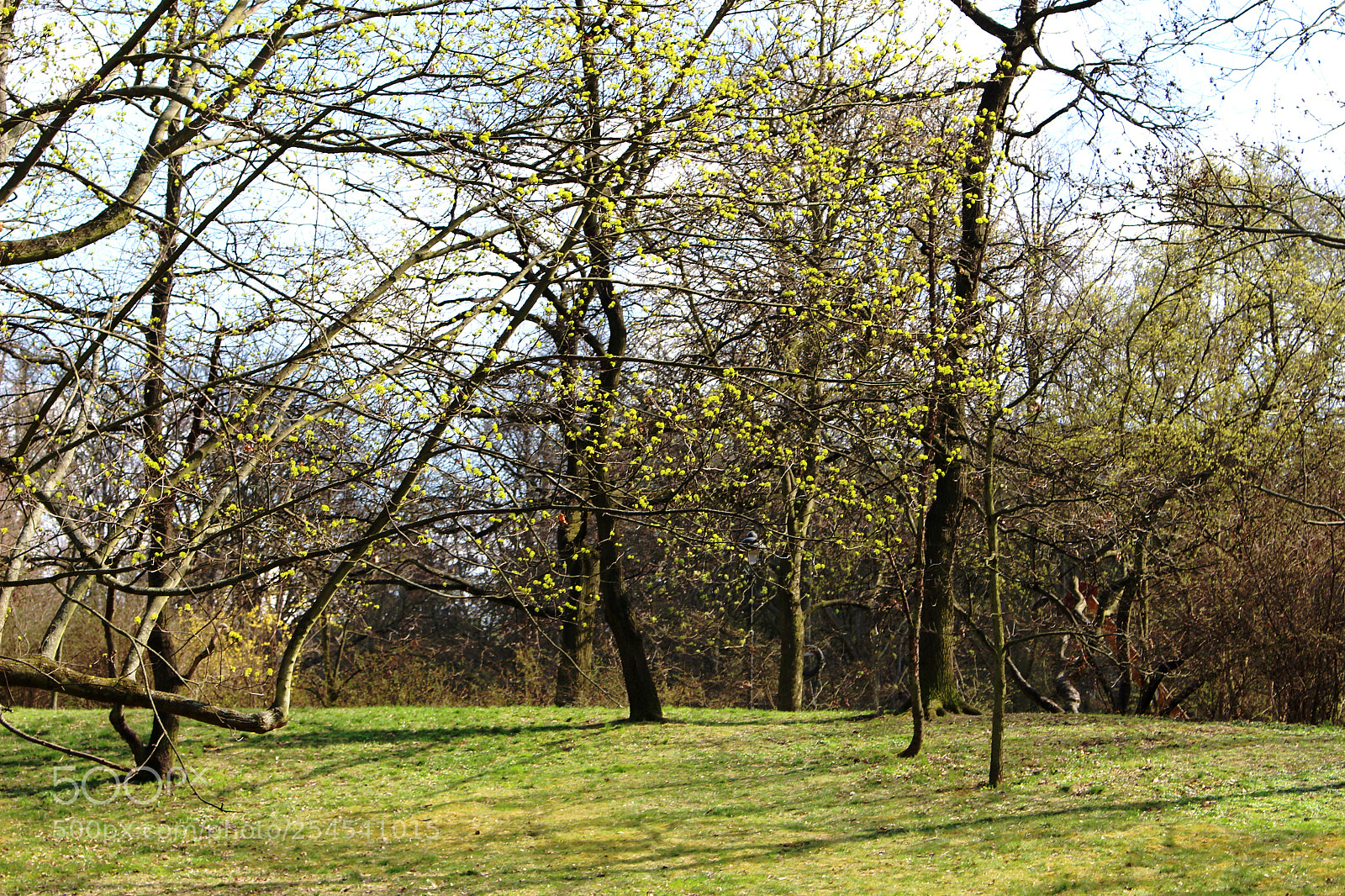 Canon EOS 100D (EOS Rebel SL1 / EOS Kiss X7) sample photo. () photography