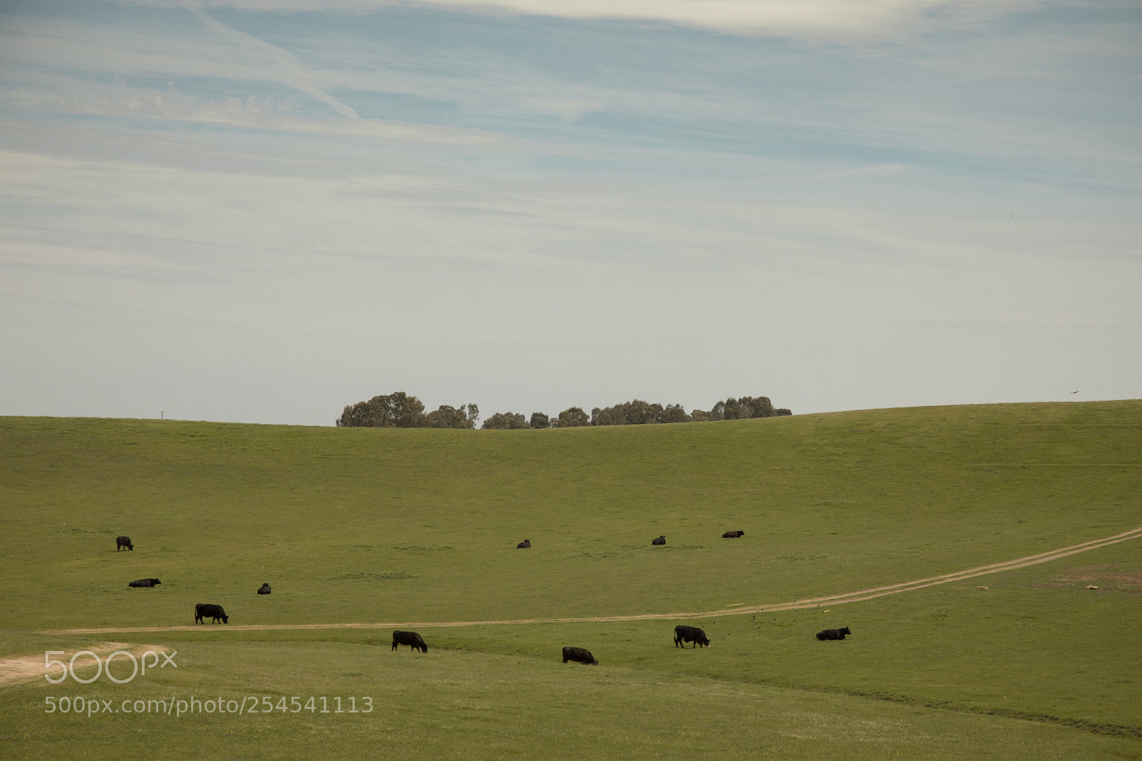 Canon EOS 5D Mark IV sample photo. Peaceful  photography