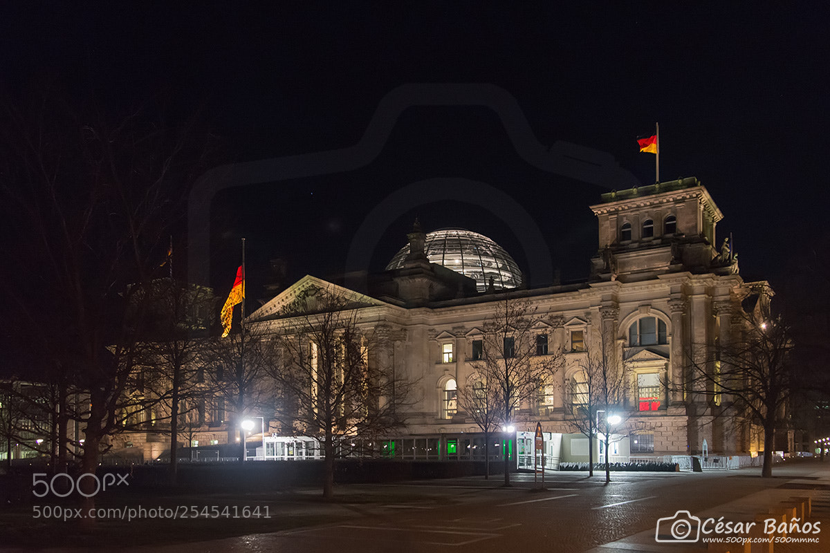 Nikon D610 sample photo. Reichstag photography
