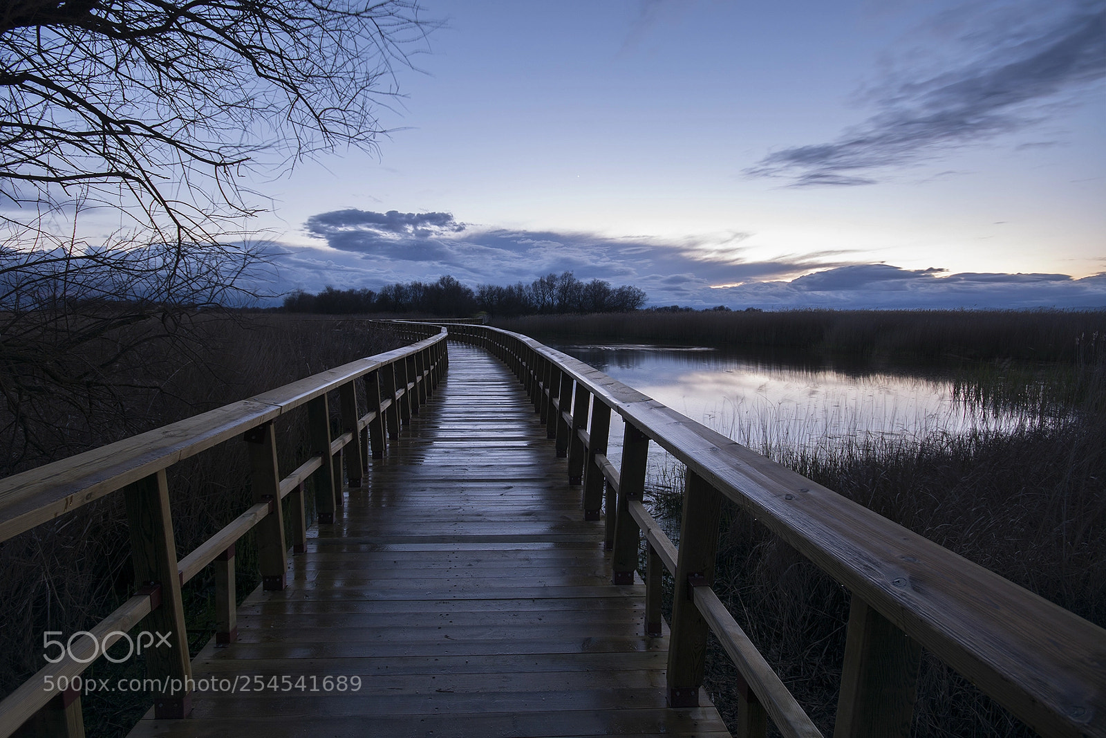 Nikon D7100 sample photo. Las tablas de daimiel photography