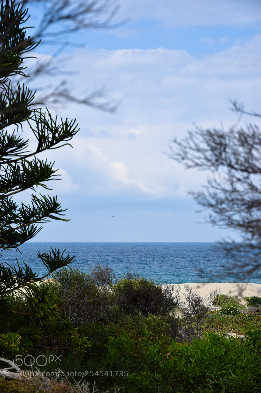 Nikon D5300 sample photo. Ocean view photography