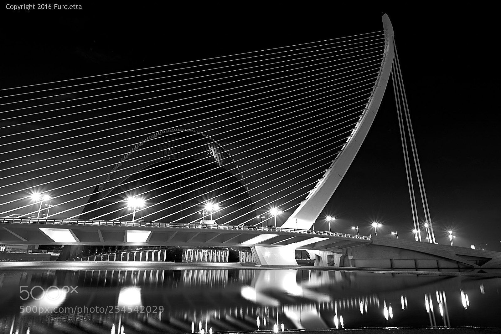 Nikon D800 sample photo. White filaments photography