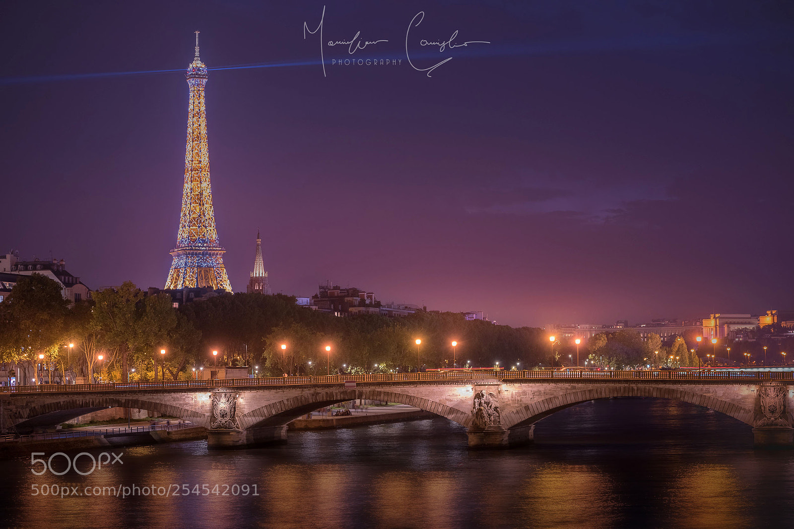 Nikon D810 sample photo. Romantic paris photography