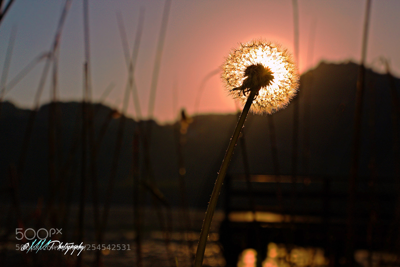 Canon EOS 70D sample photo. Hidden sun photography