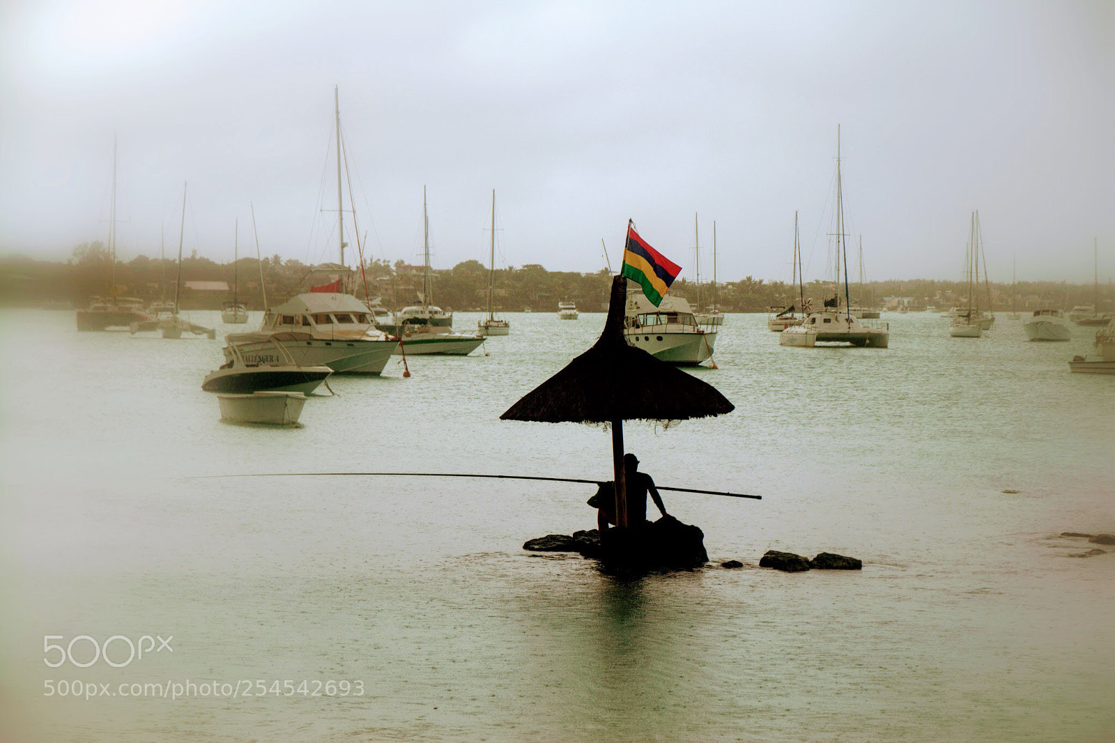 Canon EOS 600D (Rebel EOS T3i / EOS Kiss X5) sample photo. Rainy day  photography