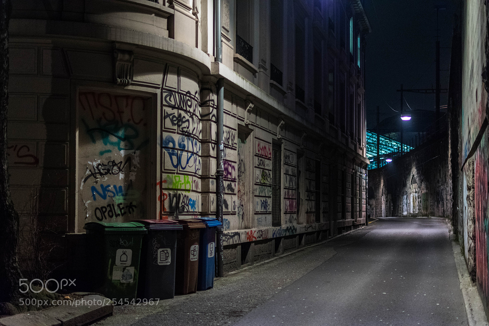 Nikon D3400 sample photo. Passage des saugettes, lausanne photography