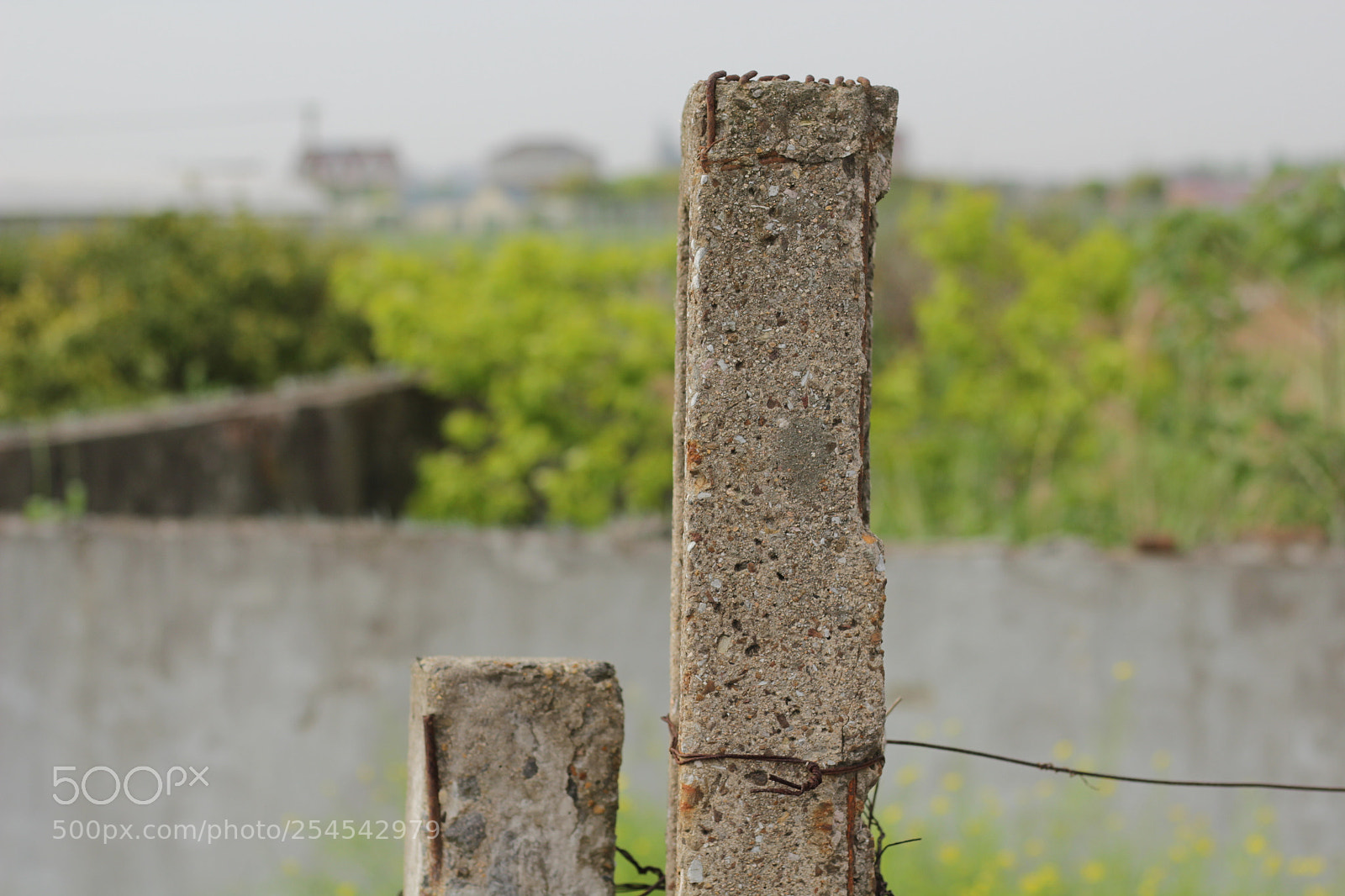 Canon EOS 550D (EOS Rebel T2i / EOS Kiss X4) sample photo. 桥边石柱 photography