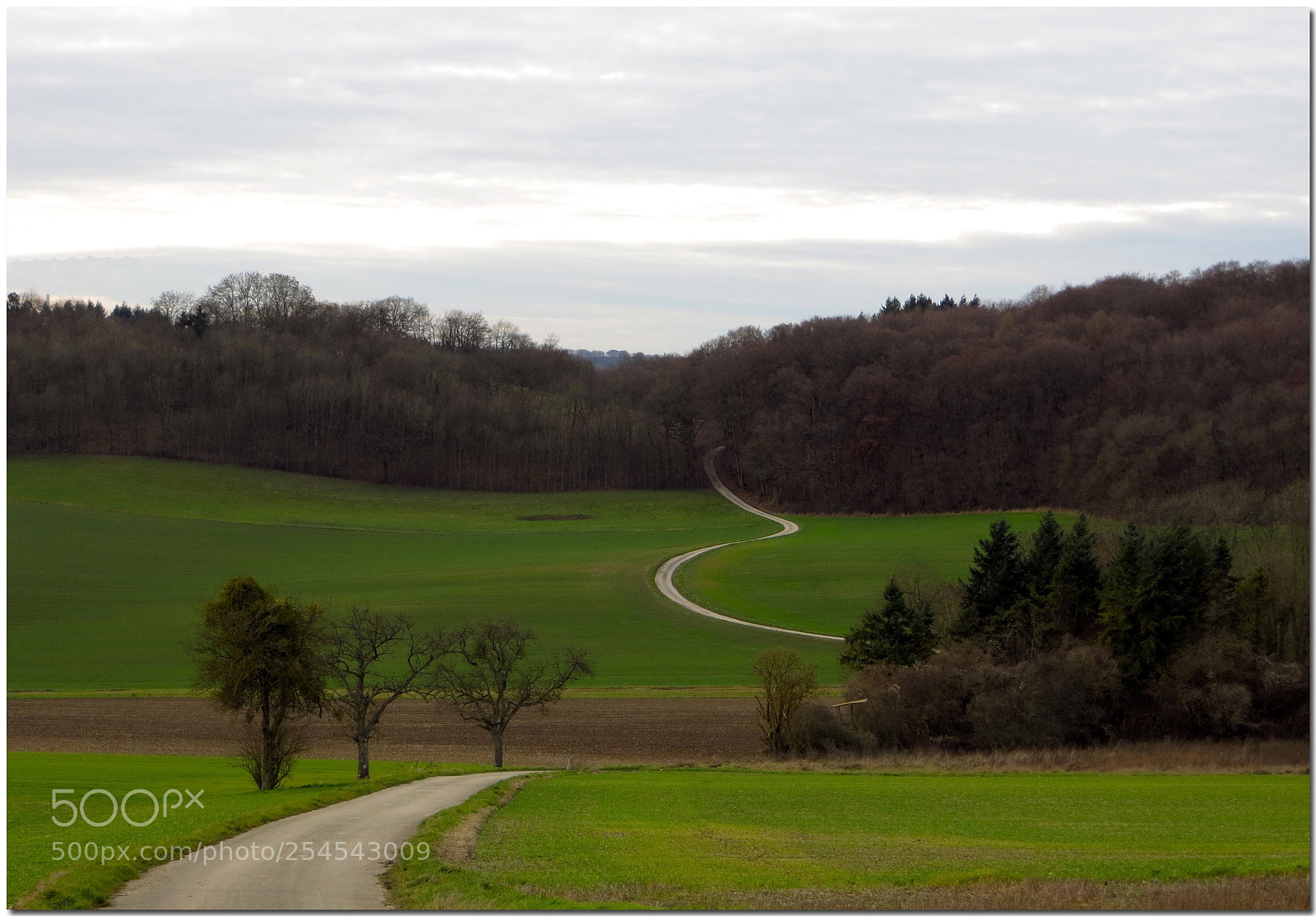 Canon PowerShot SX240 HS sample photo. Weg nach metzdorf photography