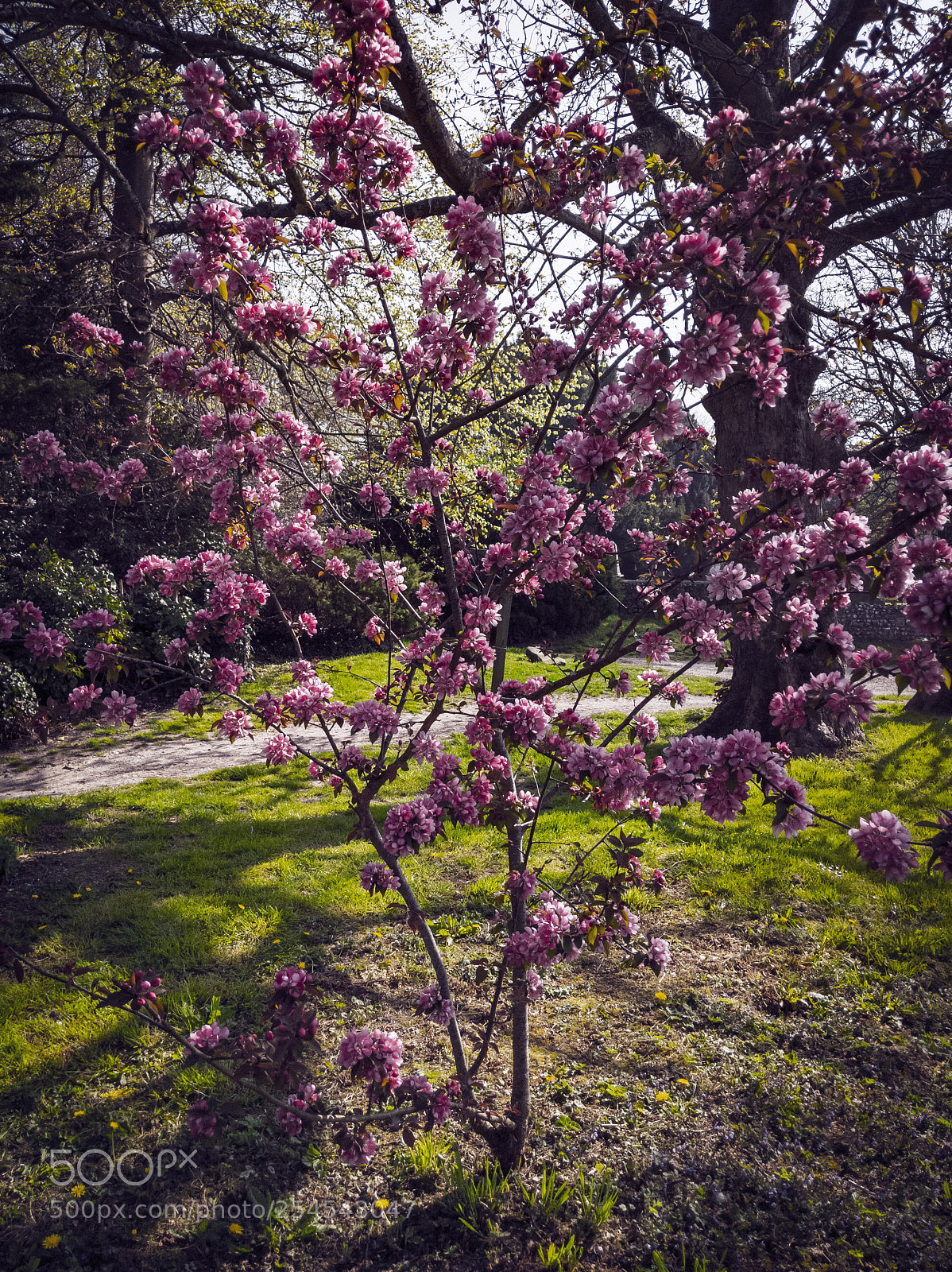 Google Pixel 2 XL sample photo. Lrm_20180421_100635.jpg photography