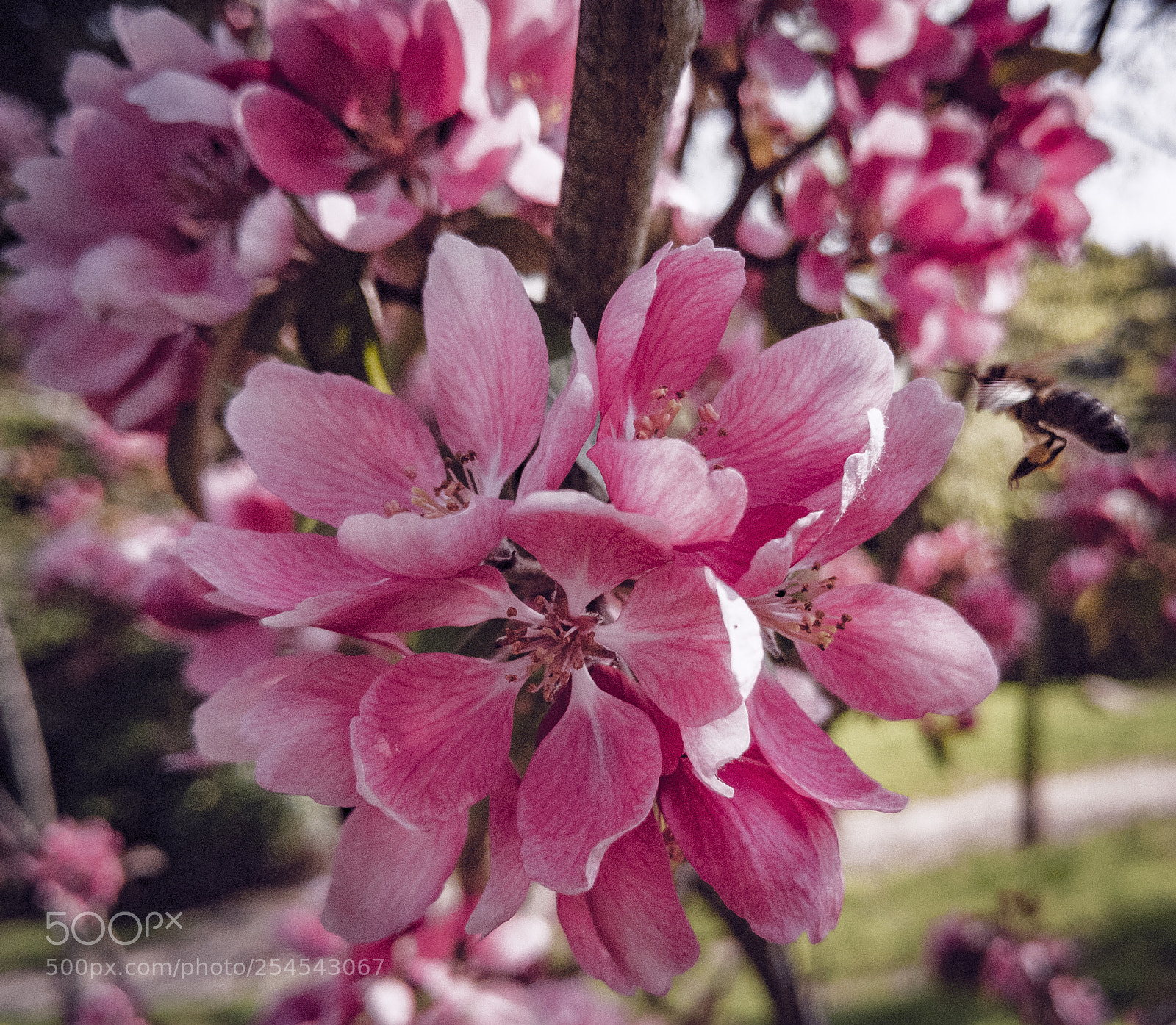 Google Pixel 2 XL sample photo. Lrm_20180421_100655.jpg photography