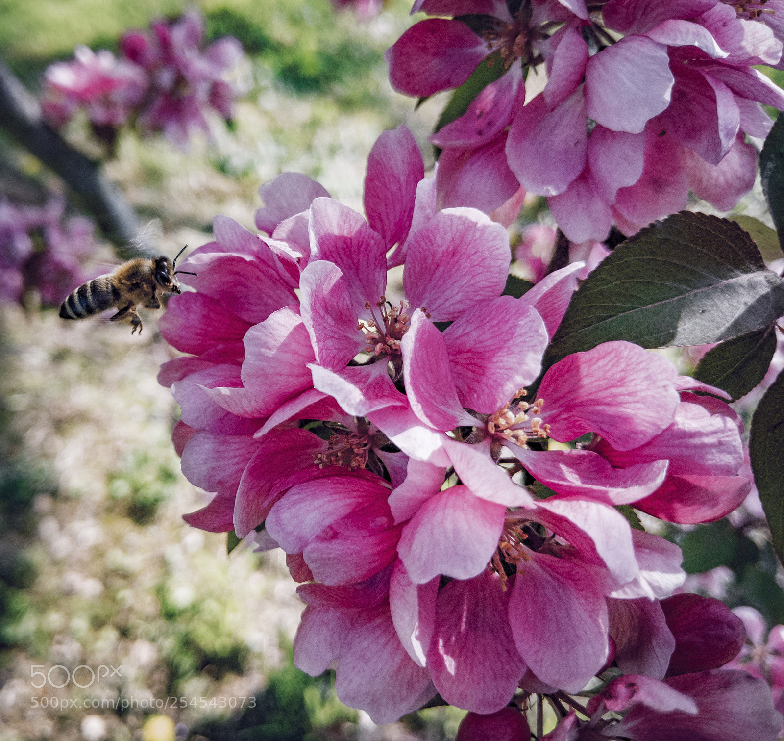 Google Pixel 2 XL sample photo. Lrm_20180421_100726.jpg photography