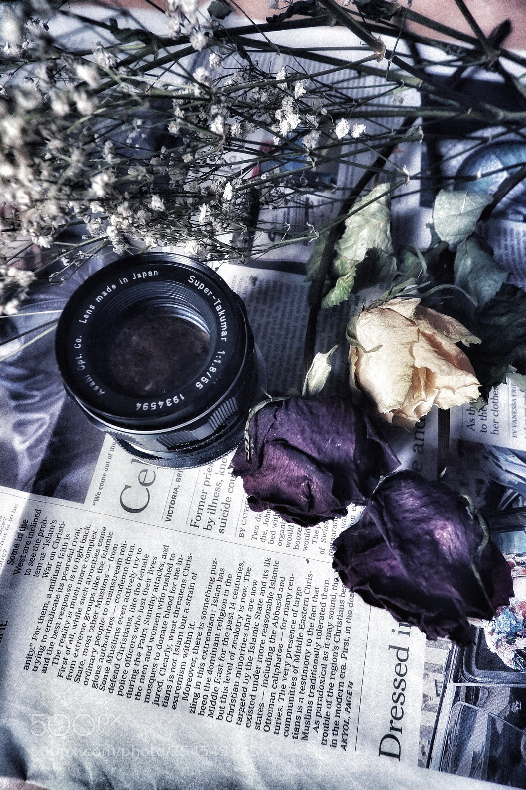 Canon EOS 80D sample photo. Old lens photography