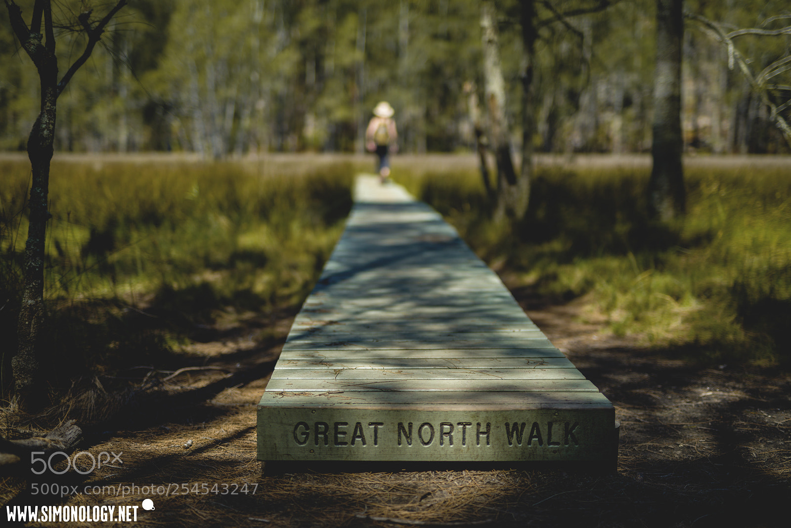 Nikon D800E sample photo. Great north walk, sydney photography