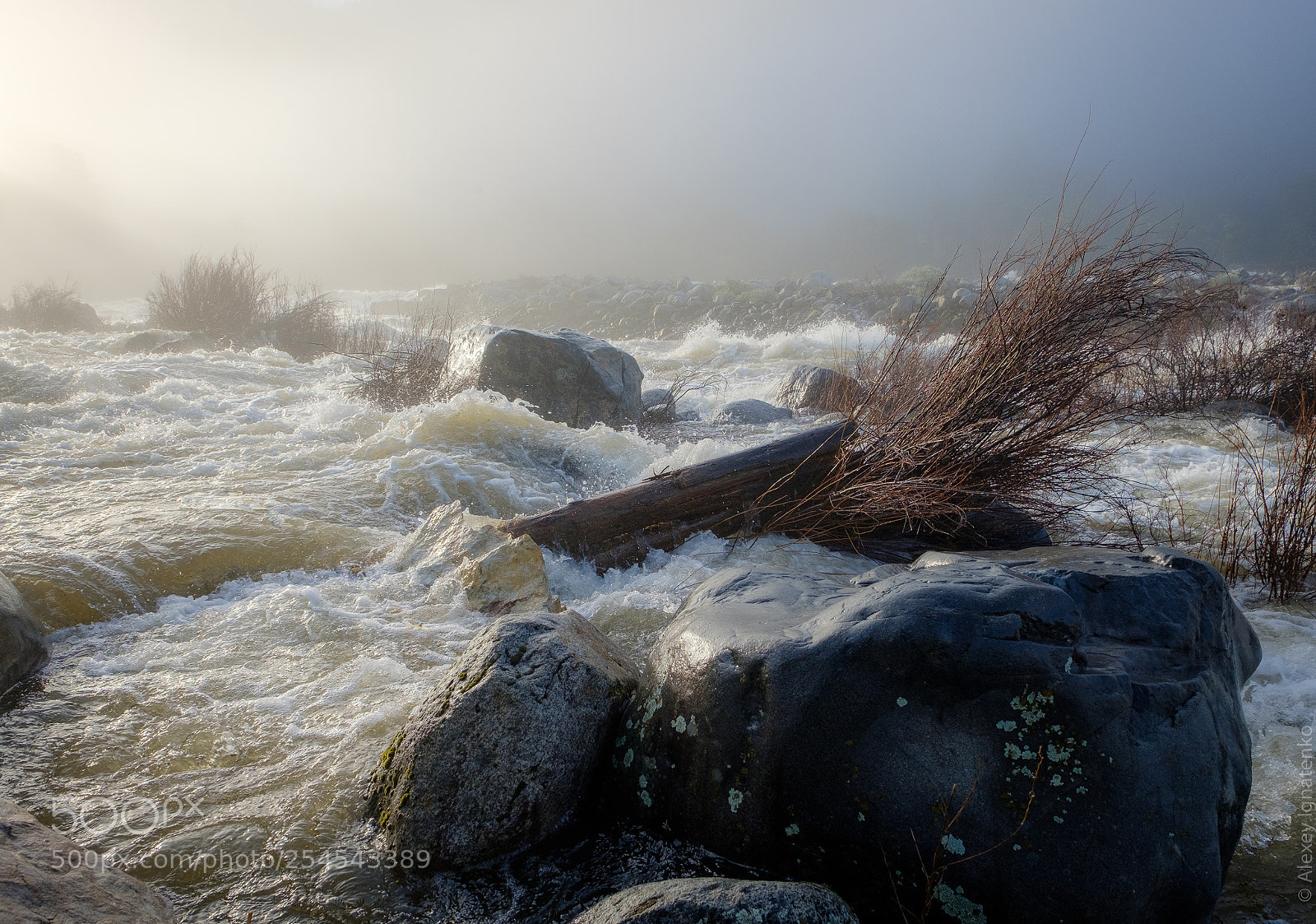 Fujifilm X-T2 sample photo. Merced river morning photography
