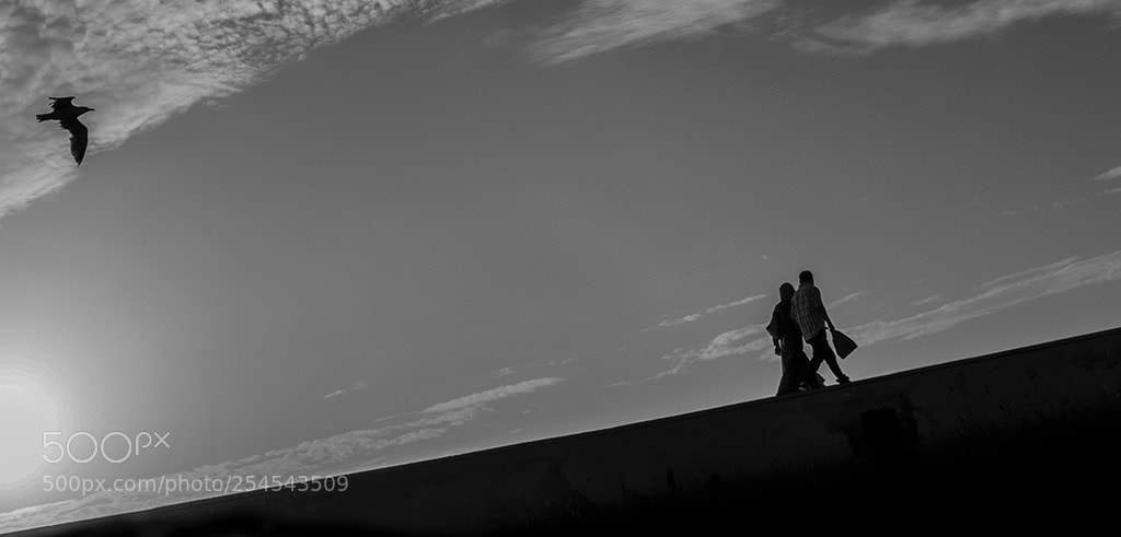 Nikon D5500 sample photo. En essaouira  photography