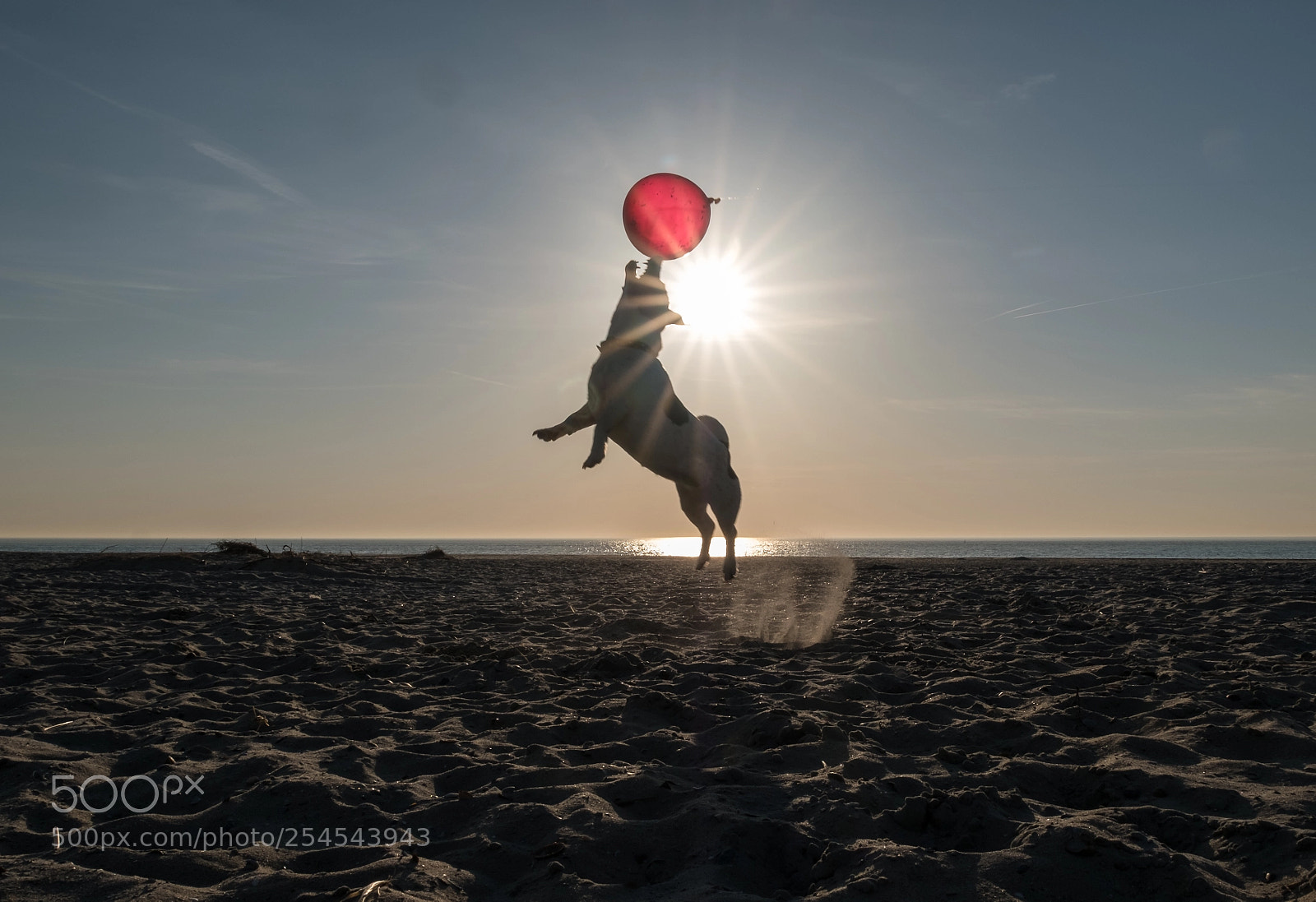 Fujifilm X-T2 sample photo. Jump photography