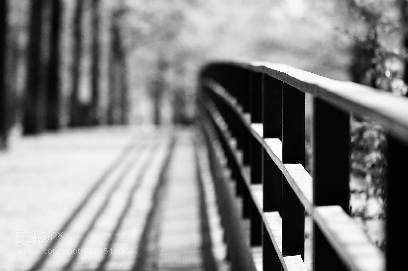 Canon EOS 70D sample photo. Lines 2 photography