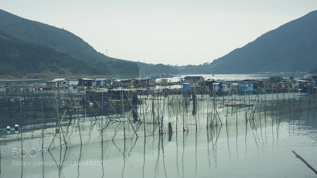 Nikon D700 sample photo. 渔村 photography