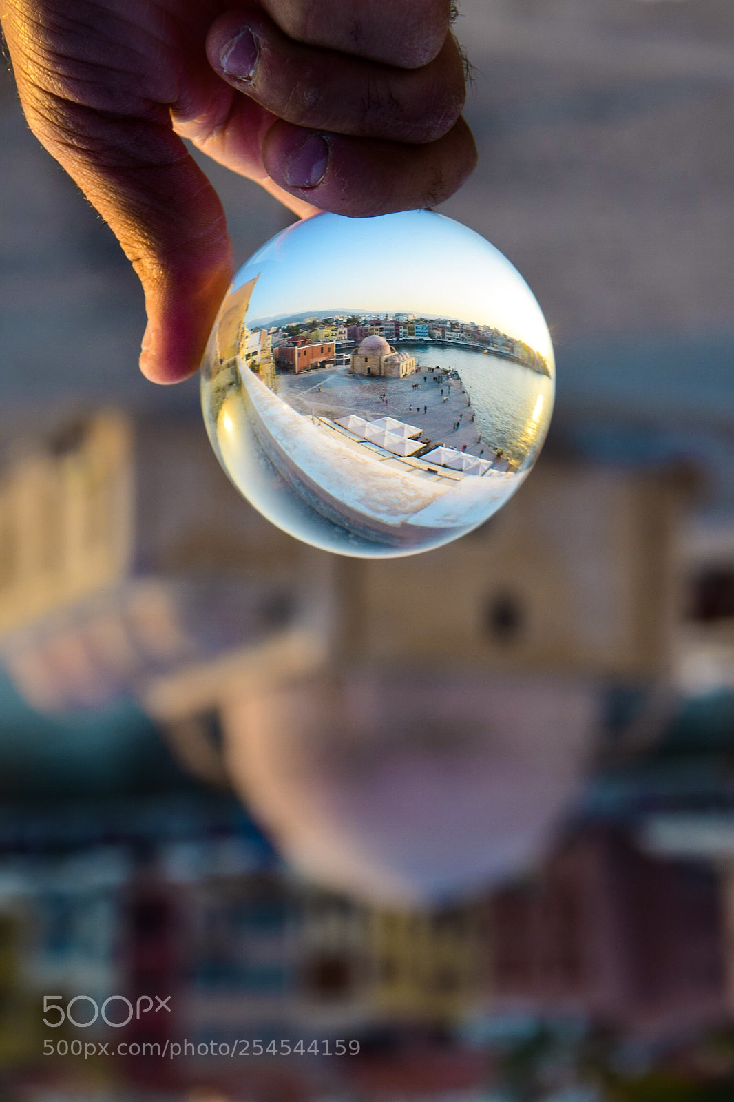 Nikon D3300 sample photo. • upside down • photography