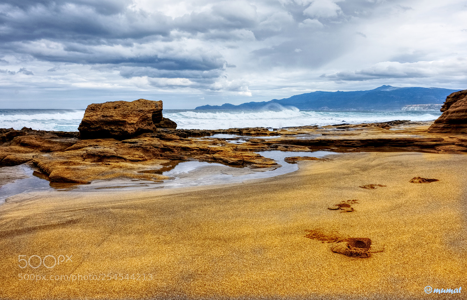 Nikon D7200 sample photo. Yellow beach photography