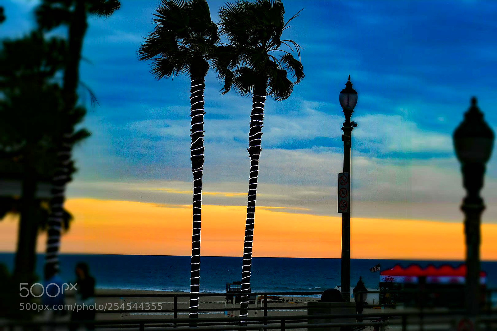 Nikon D3400 sample photo. Untitled photography
