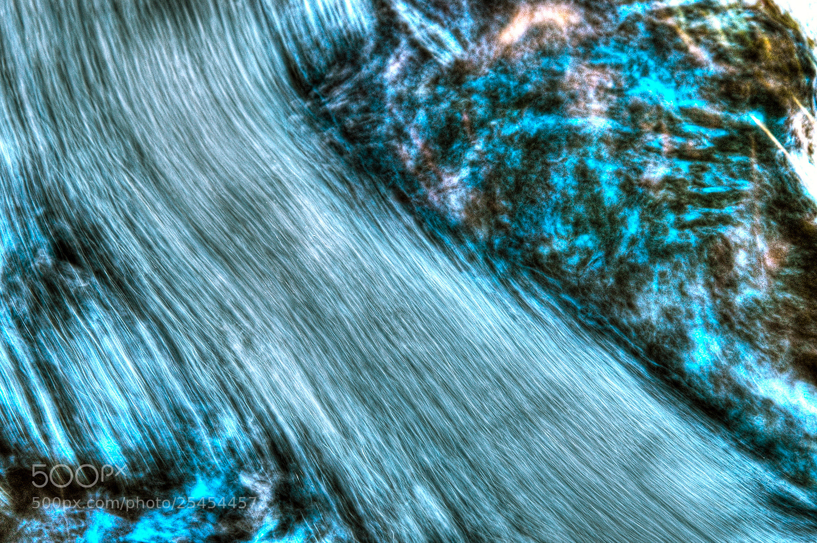 Nikon D70 sample photo. Movement photography