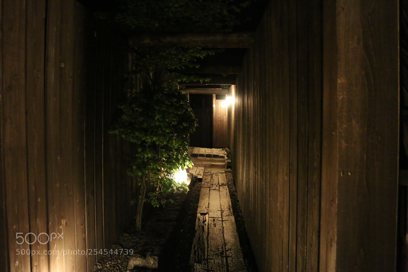 Canon EOS 70D sample photo. Back alley photography