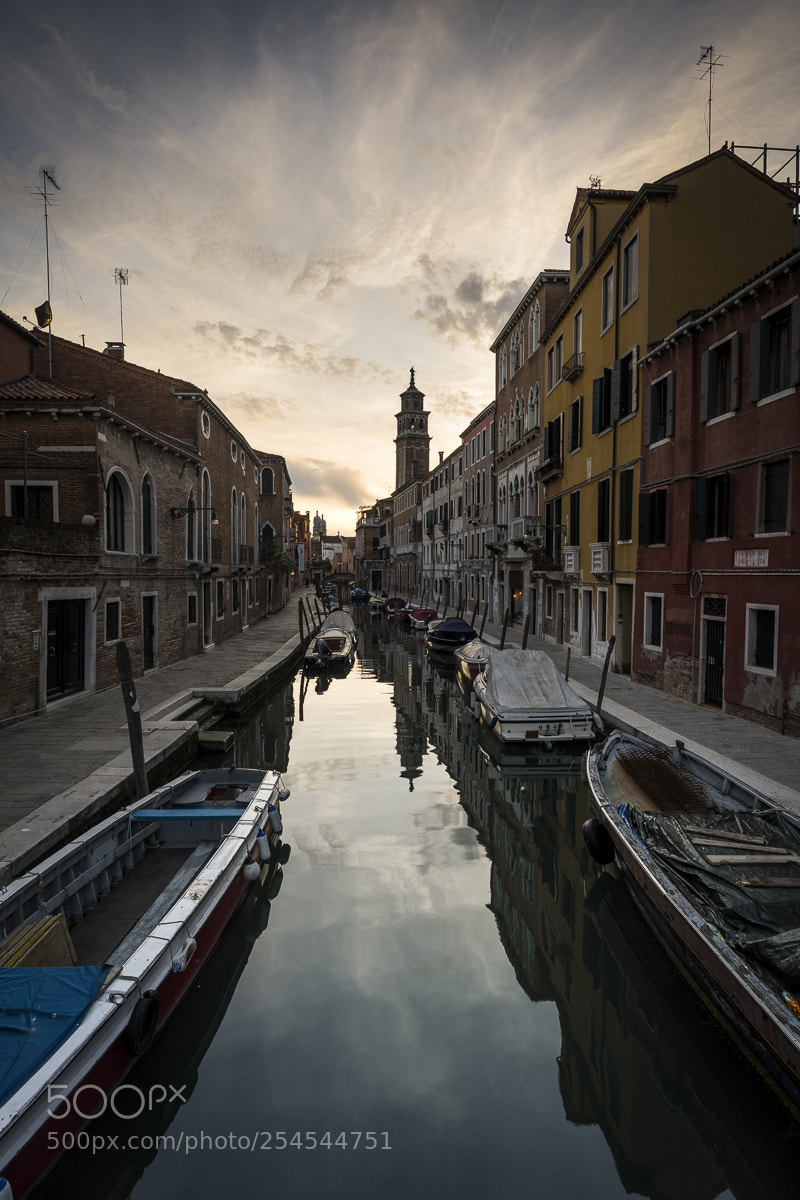 Nikon D850 sample photo. Along the water photography