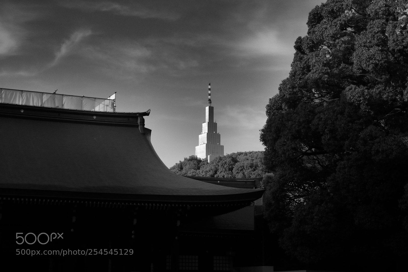 Sony ILCA-77M2 sample photo. Big in japan photography