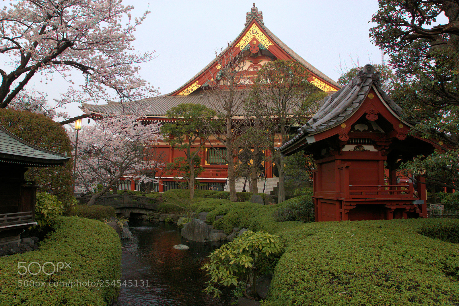 Sony ILCA-77M2 sample photo. Big in japan photography
