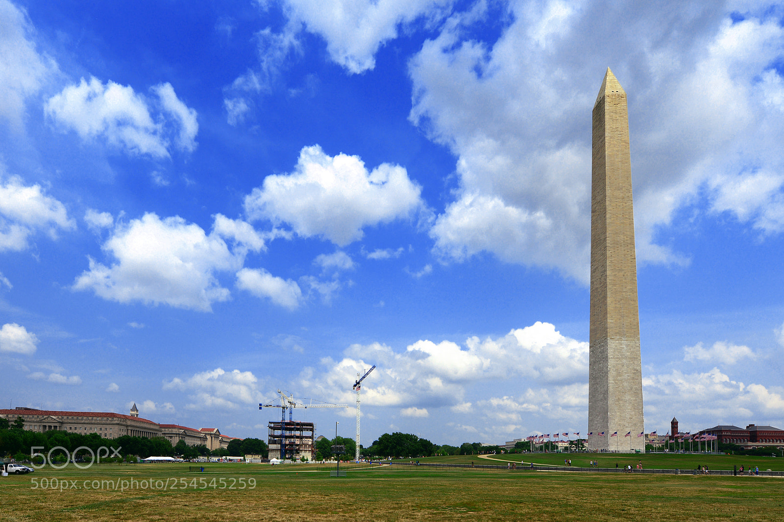 Nikon D800 sample photo. The washington monument photography