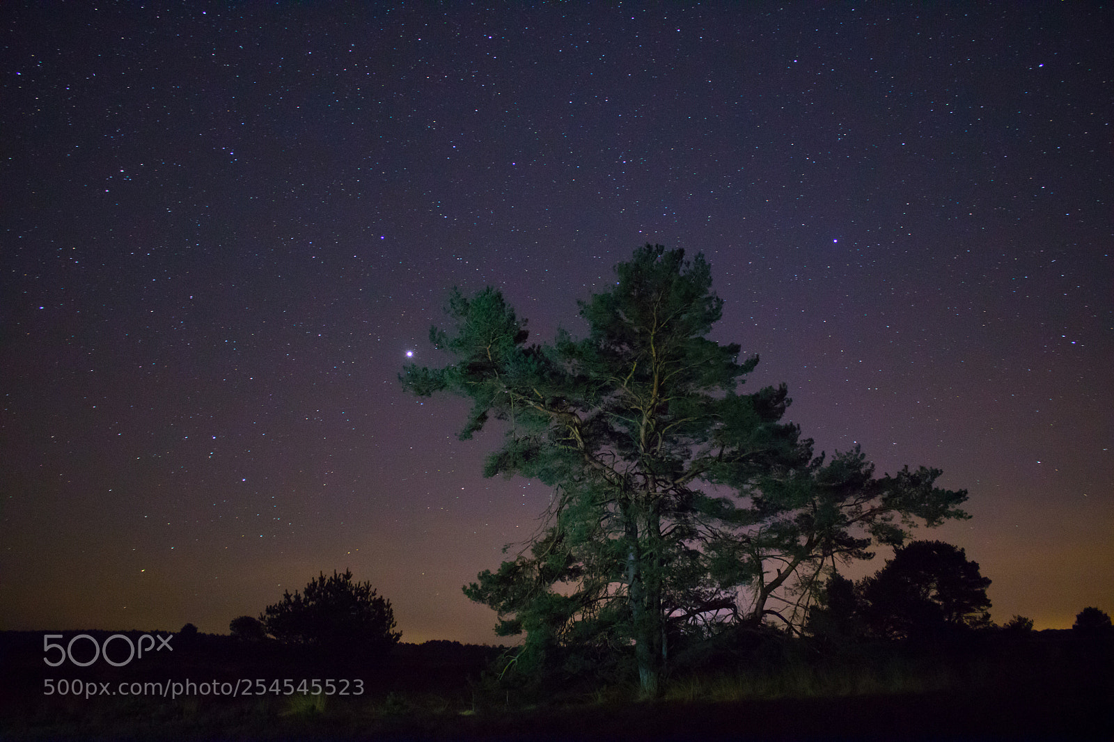 Canon EOS 750D (EOS Rebel T6i / EOS Kiss X8i) sample photo. Jupiter photography
