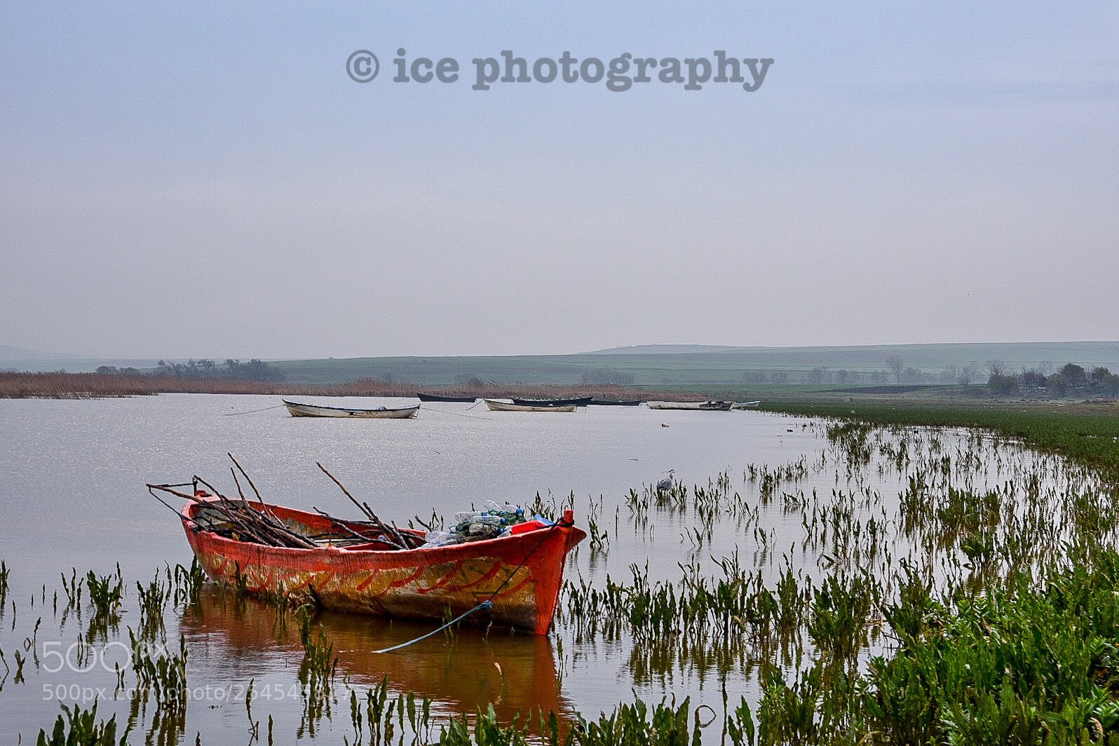 Nikon D7200 sample photo. Boat photography