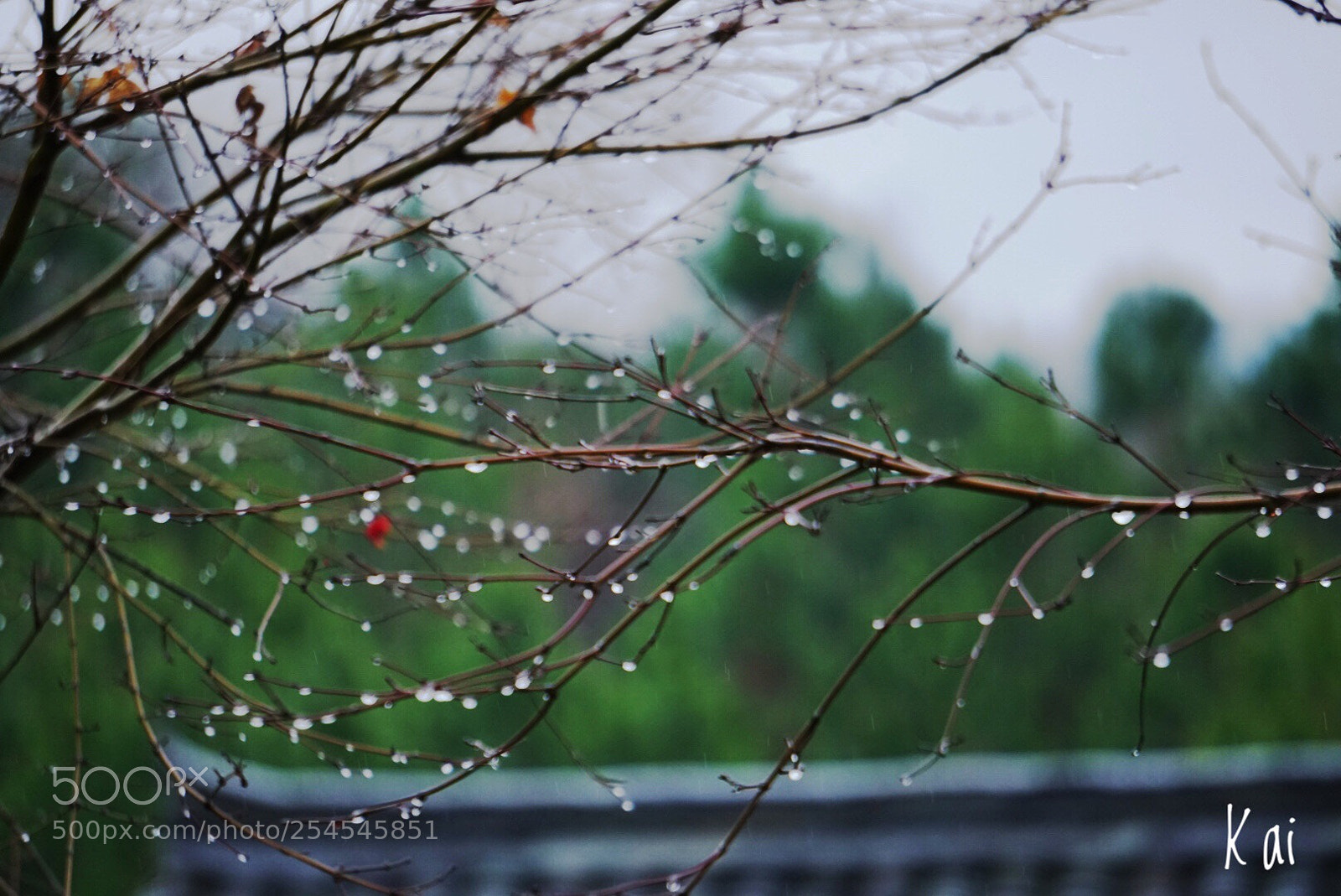 Sony a6300 sample photo. 烟雨 photography