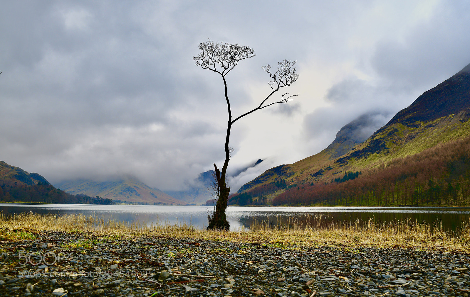 Nikon D850 sample photo. Early morning weather  photography