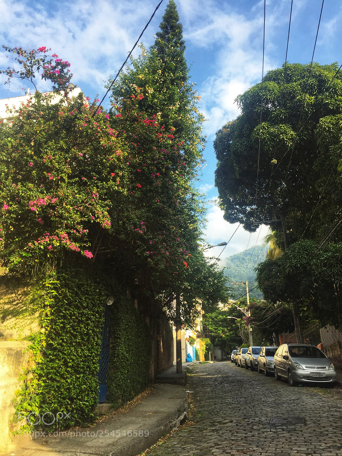Apple iPhone 6 sample photo. Rua faro, jardim bot photography