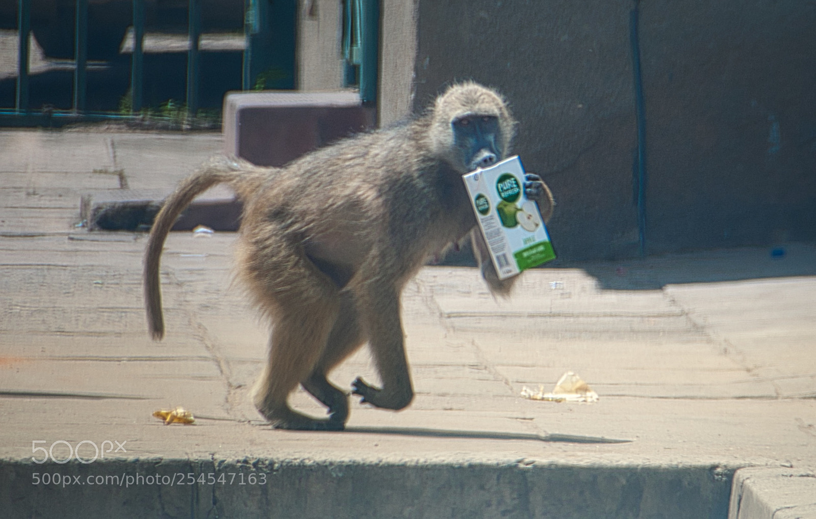 Nikon D90 sample photo. I just bought photography